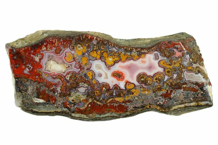 Polished Cruentus Agate Section - Kerrouchen, Morocco #187130